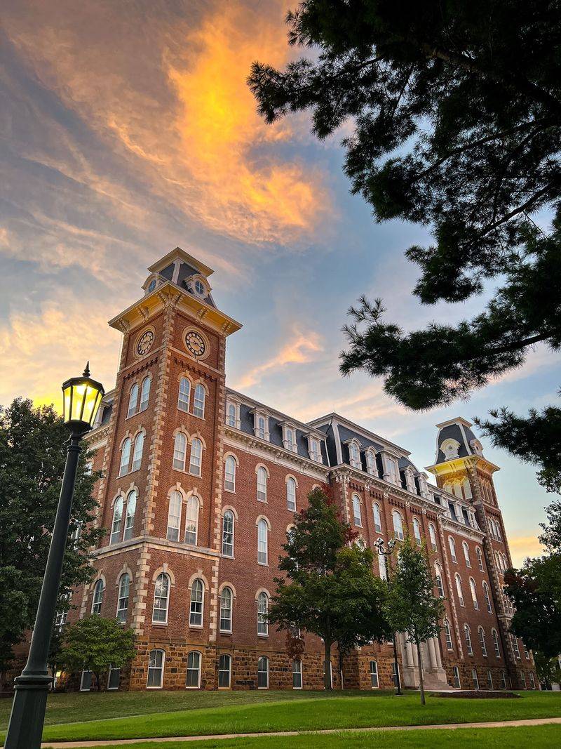 University Of Arkansas