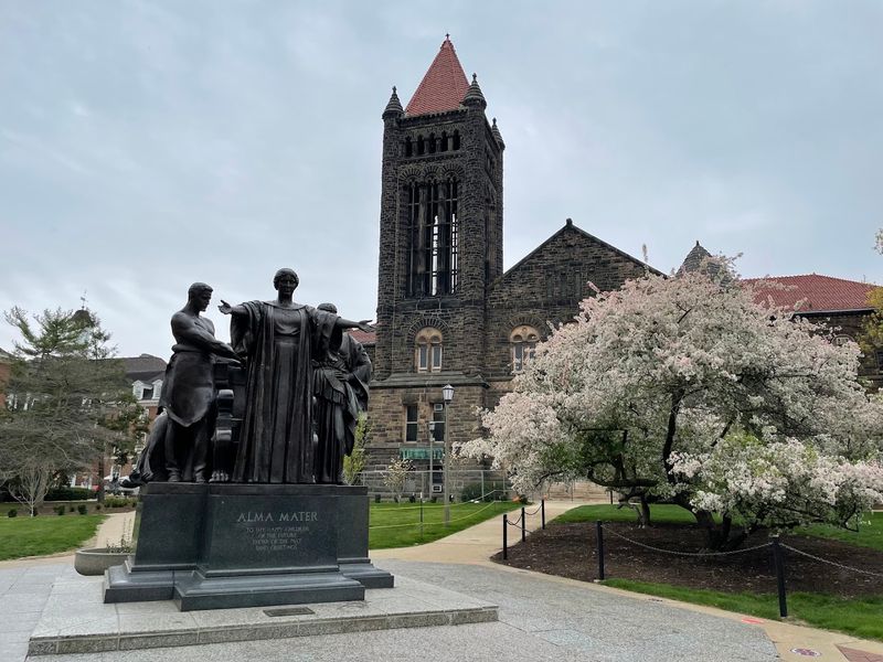 University Of Illinois Urbana-Champaign