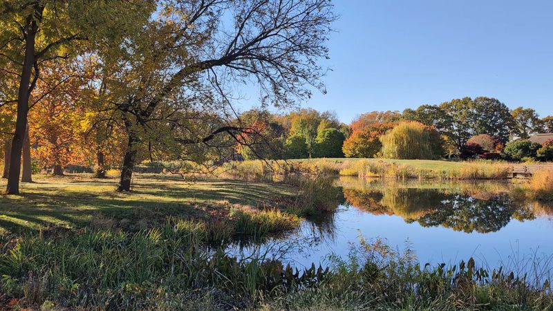University of Illinois Arboretum, Urbana