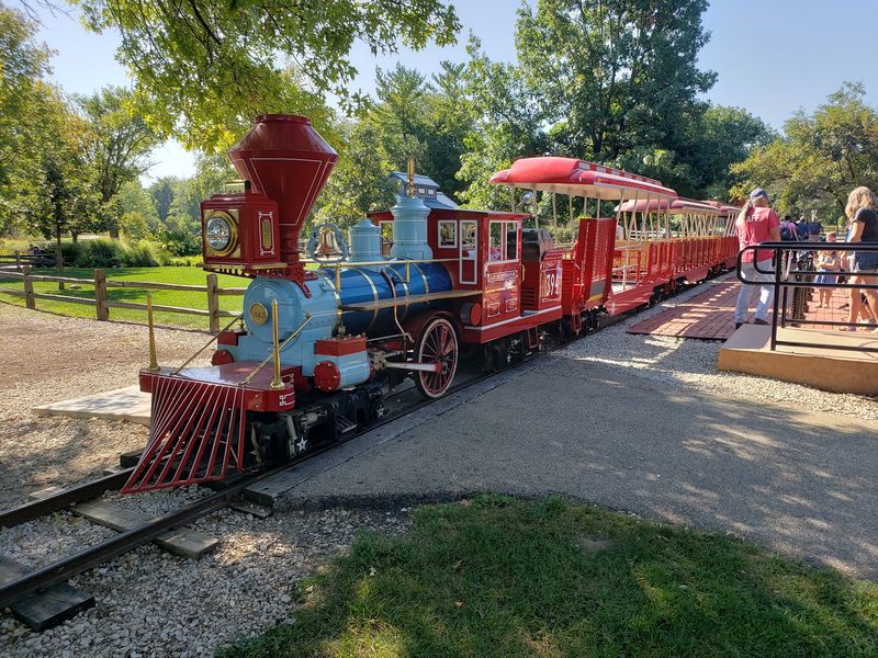 Unlimited Rides On Trains, Ponies And Paddle Boats