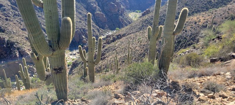 The Tricky Trailhead Hunt