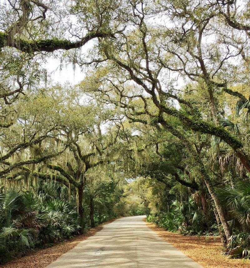Spacious Campsites Surrounded By Hammocks And Shade
