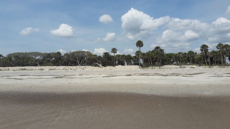 Untouched Shoreline Stretches For Miles Untouched Shoreline Stretches For Miles