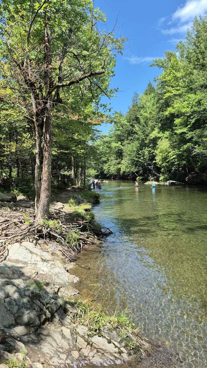 Unwind Beside The Little Pigeon River
