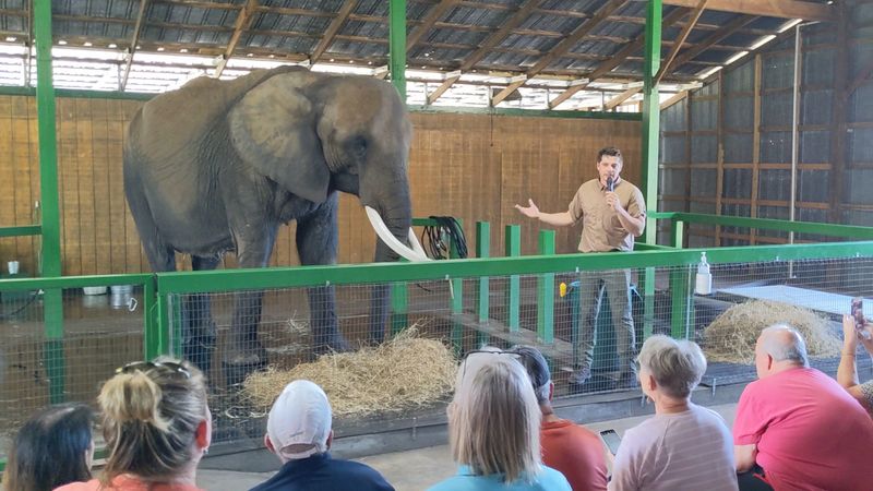 Learning Hour: Conservation, Facts, And Real Talk