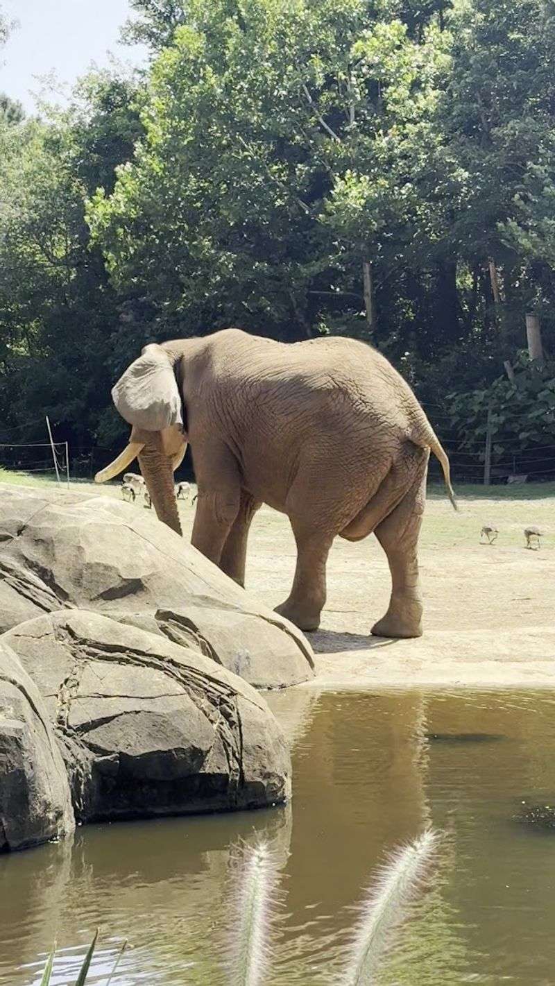 Feeding Experiences That Create Lasting Memories