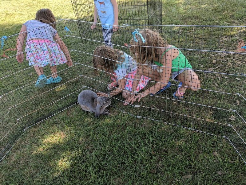 Up Close With The Animals