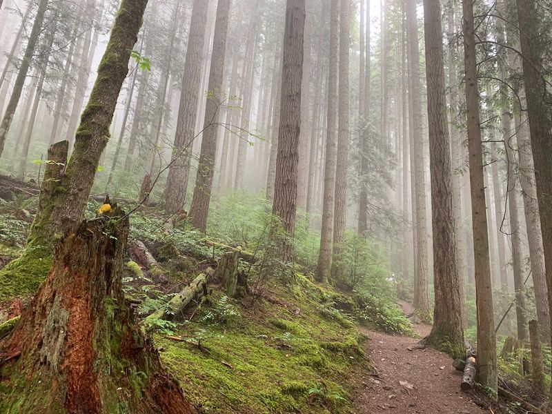 The Greg Ball Trail Extension To Wallace Lake