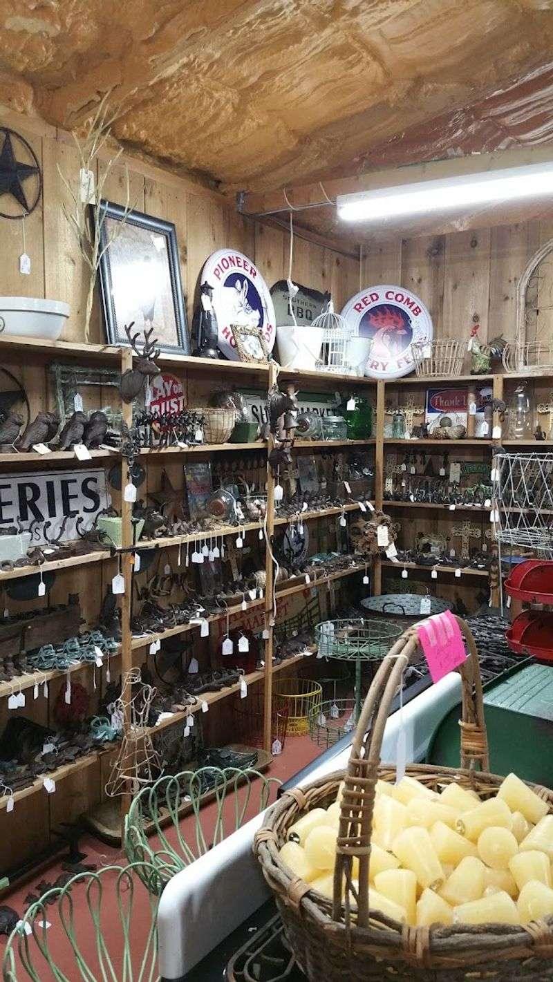 Hours Of Exploration For Casual Shoppers And Serious Pickers