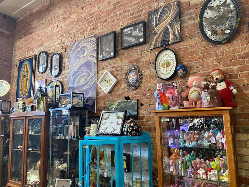 Oddities Cabinet Etiquette