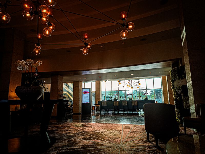 Blue Matisse - Doral