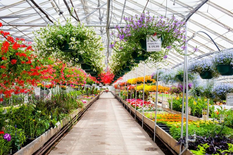 Urhausen Greenhouses, Lincolnwood Urhausen Greenhouses, Lincolnwood