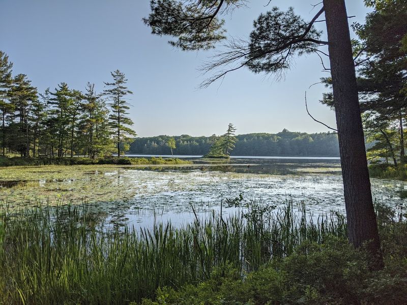 Use Lost Lake And Island Trail When You Want The Park To Whisper