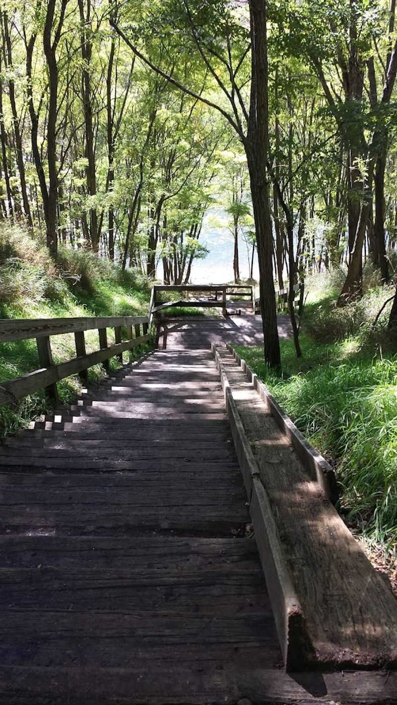 Use Nearby Nature As Low Cost Enrichment