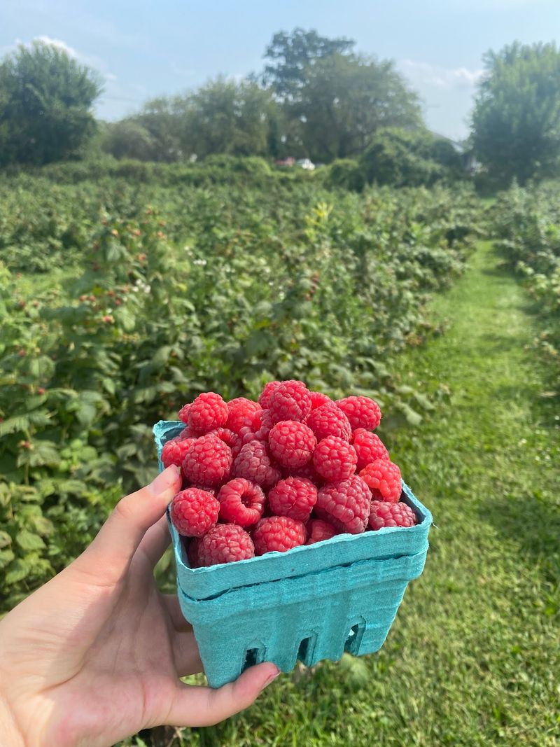 Use The Approved Picking Containers