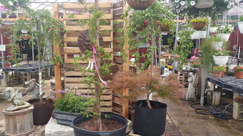 Use The Arboretum For Real Landscape Ideas