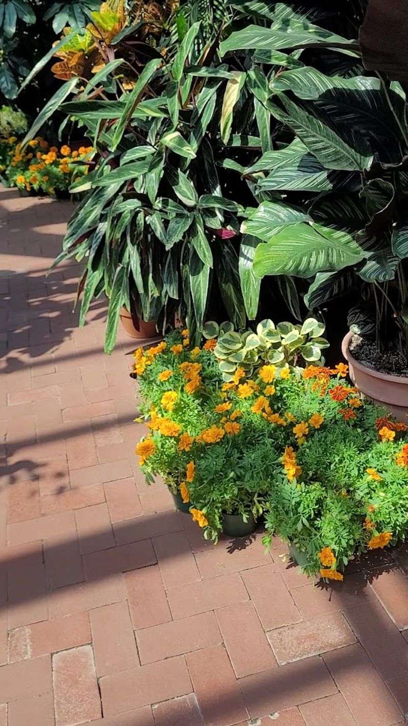 Use The Conservatory As A Tonal Reset