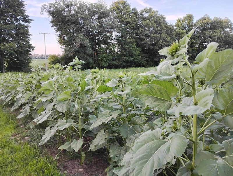 Return In A Different Season To See What Changes