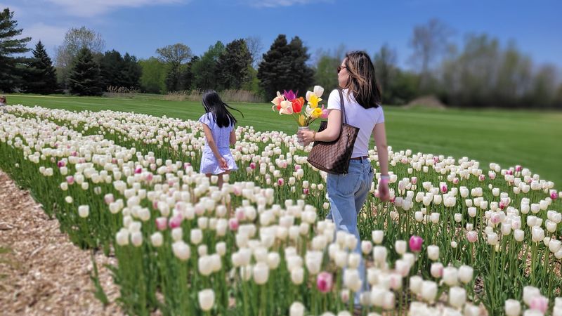 Know The Farm Changes With The Seasons