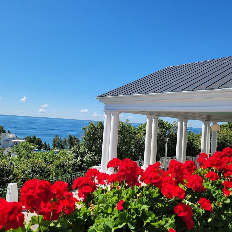 Use The Geraniums As A Guide Use The Geraniums As A Guide