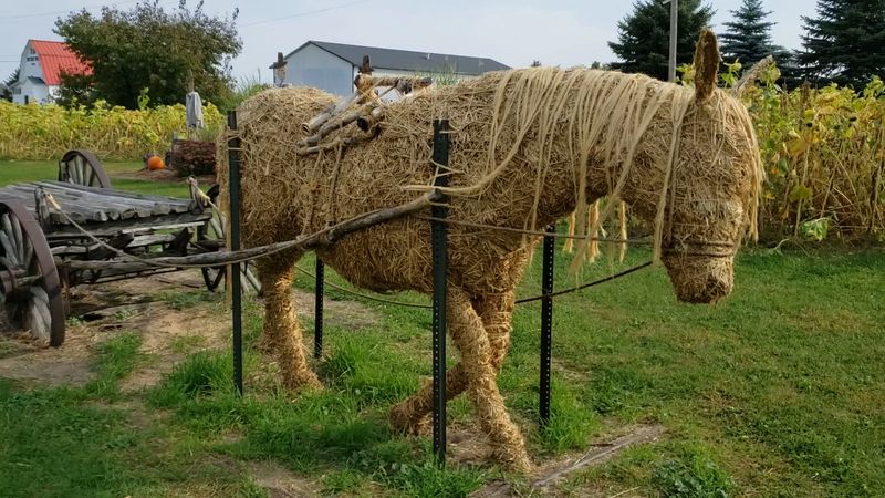 Find The Kid Favorites Efficiently