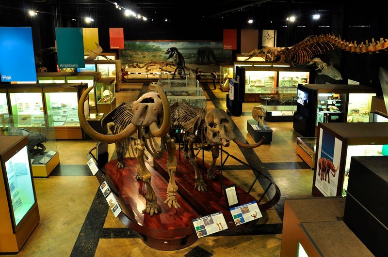 Use The Hall Of Evolution As Your Backbone