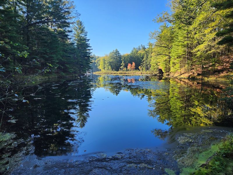 Use The Lakes As Your Orientation Points