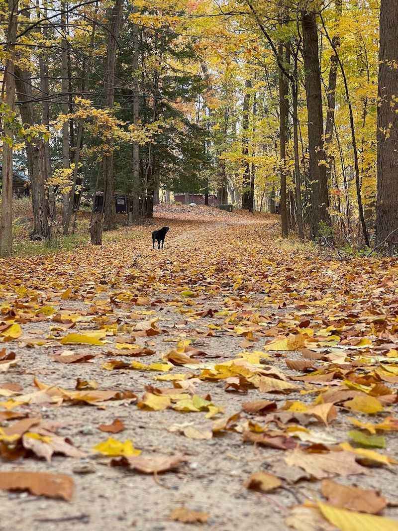 Notice The Shared Spaces Beyond The Obvious