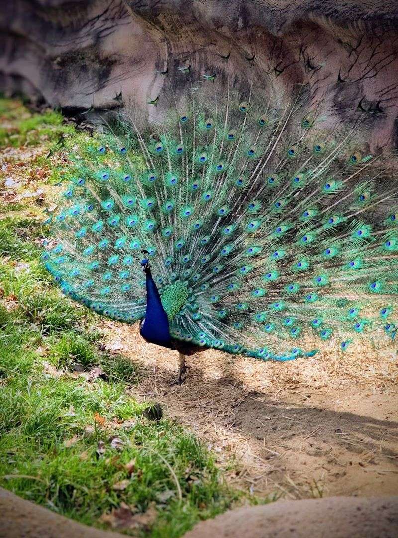 Talk With Volunteers And Watch Keeper Boards