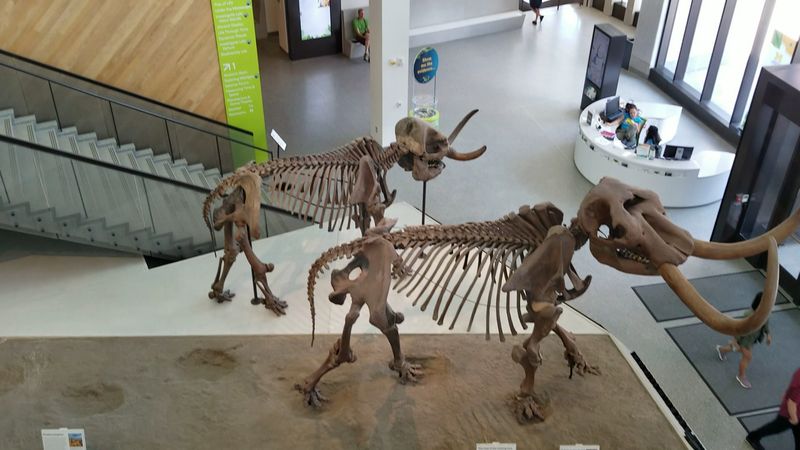 Use The Mastodons As Your Scale Lesson