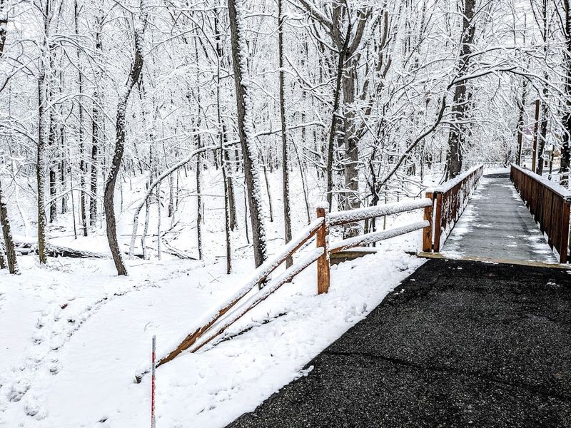 Come Back In A Different Season