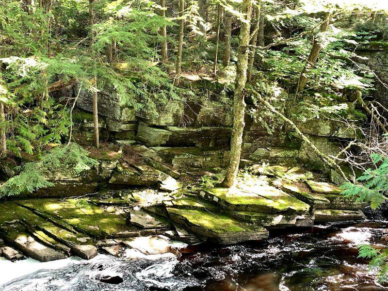 Give The Place Enough Time To Become Itself