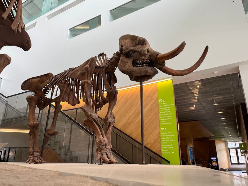 Use The Quieter Exhibits To Understand Michigan Itself
