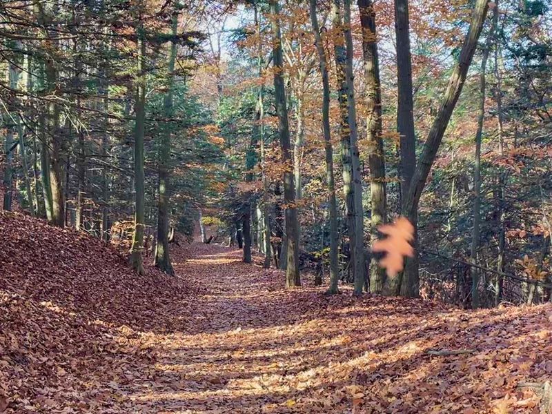 Use The Seasons To Your Advantage Use The Seasons To Your Advantage
