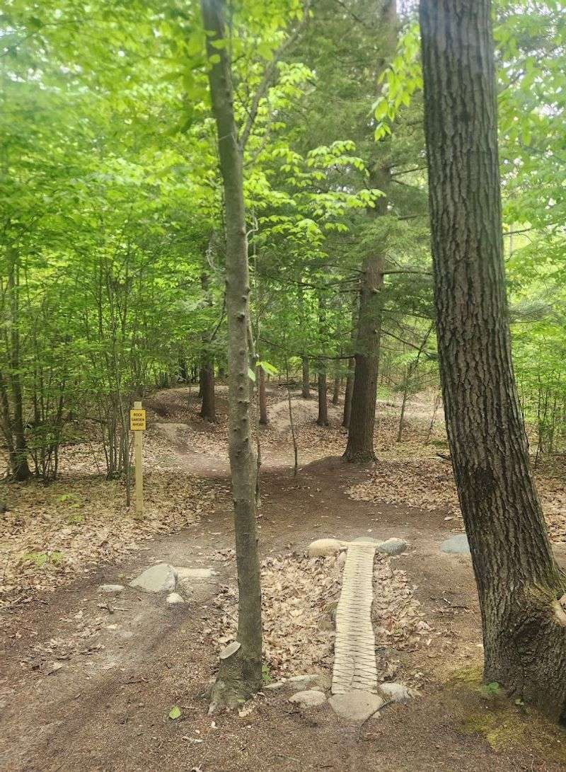 Use The Trails For Running Too