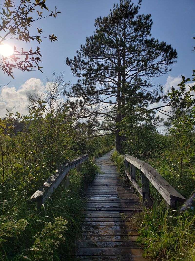 Use The Trails To Change Your Scale