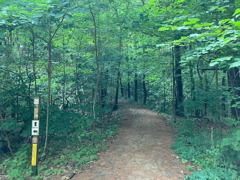 Use The Trails To Understand The Landscape