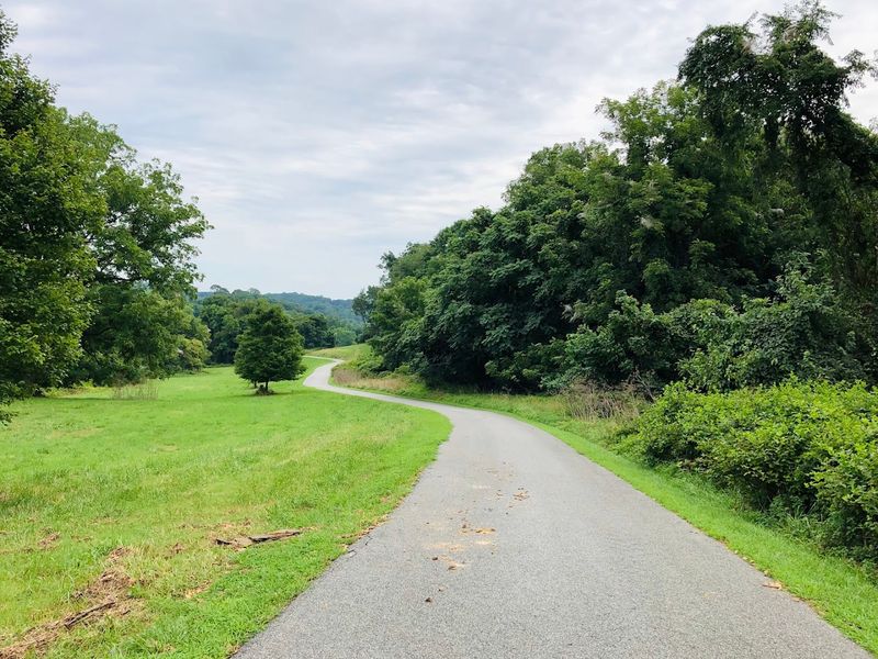 Use The Walking Path As Your Reset Button Use The Walking Path As Your Reset Button