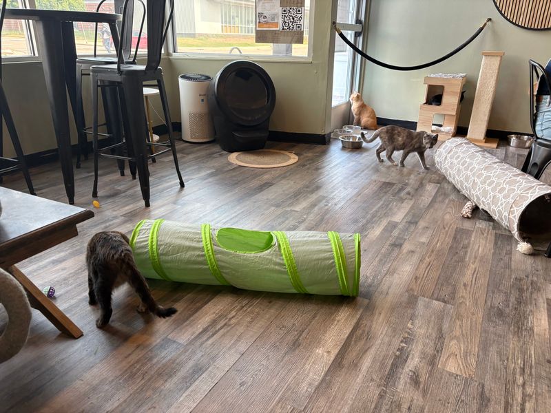 Book The Right Session Length