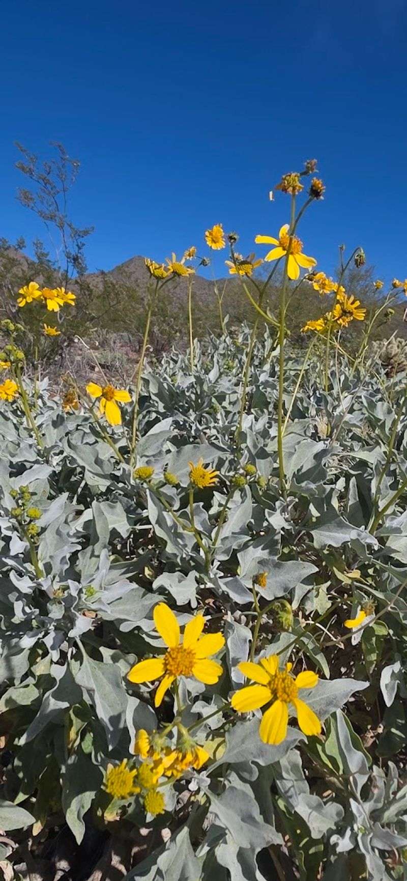 More Arizona Trails Worth Adding If Time Allows