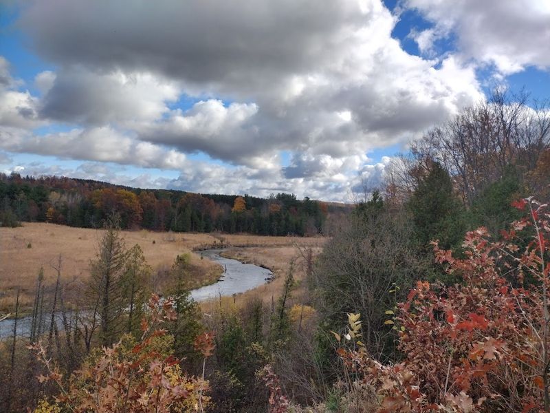 Natural Education Reserve, Traverse City