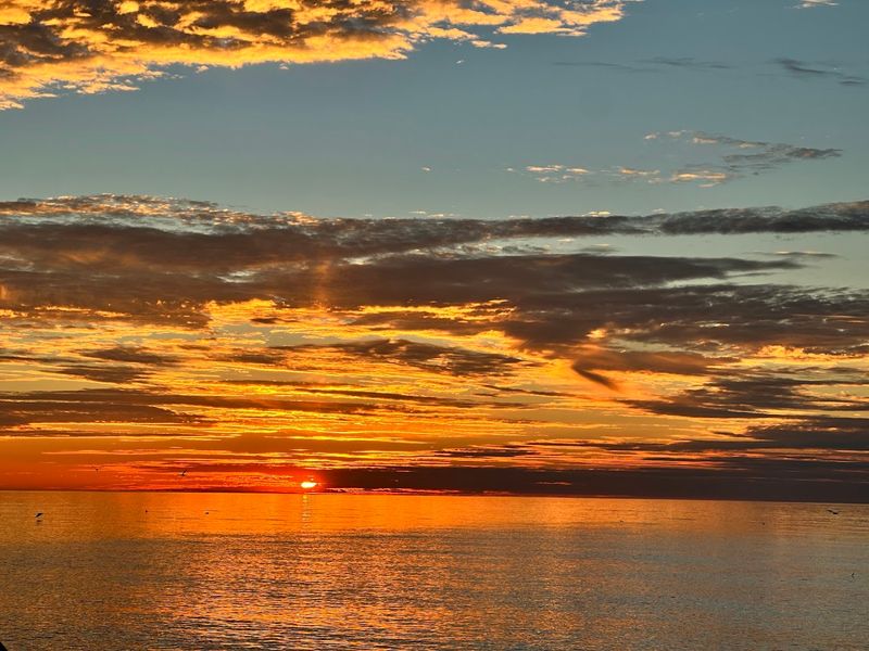 Covert Park Beach And Campground, Covert