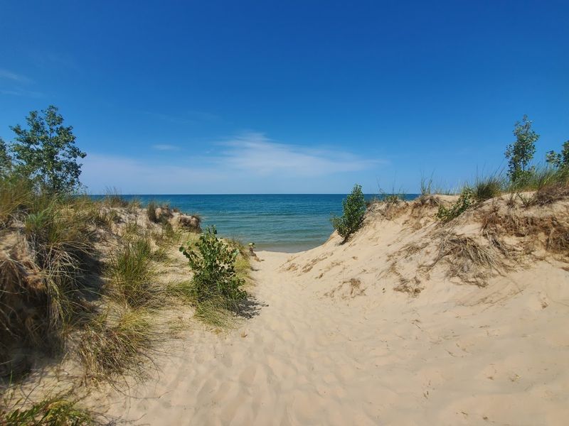 Grand Mere State Park, Stevensville