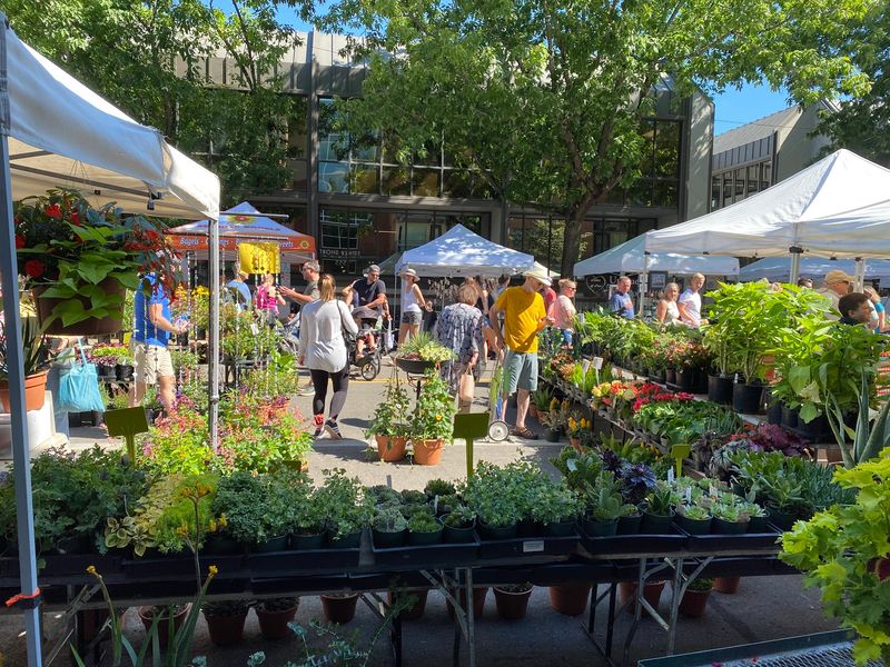 Vancouver Farmers Market, Vancouver Vancouver Farmers Market, Vancouver