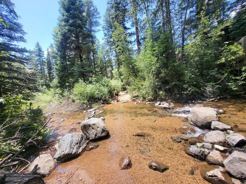 Vanishing Streams: The Creek That Plays Disappearing Act