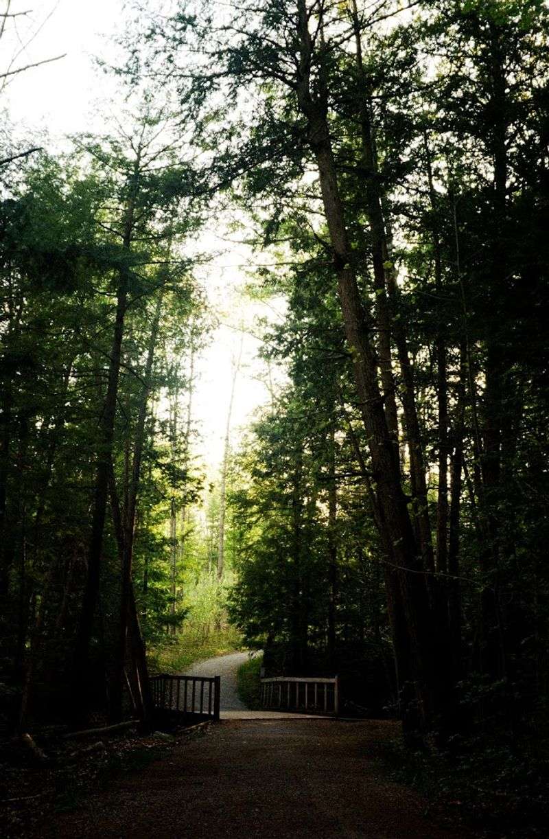 Vasa Pathway