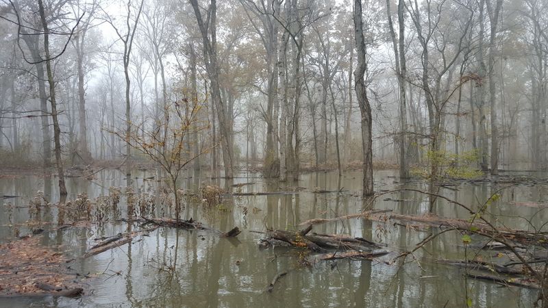 Seasonal Floodwaters Transforming The Landscape