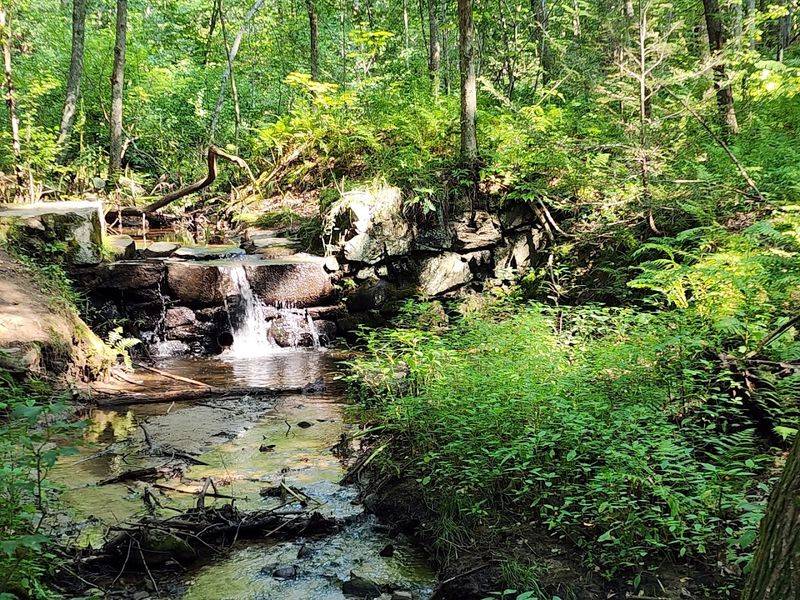 Vaughan Woods State Park, South Berwick