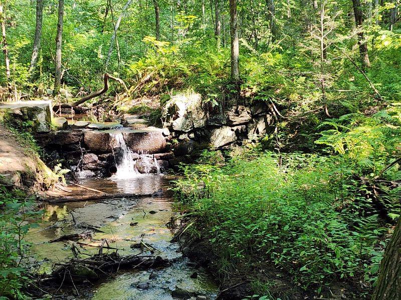 Vaughan Woods State Park, York County