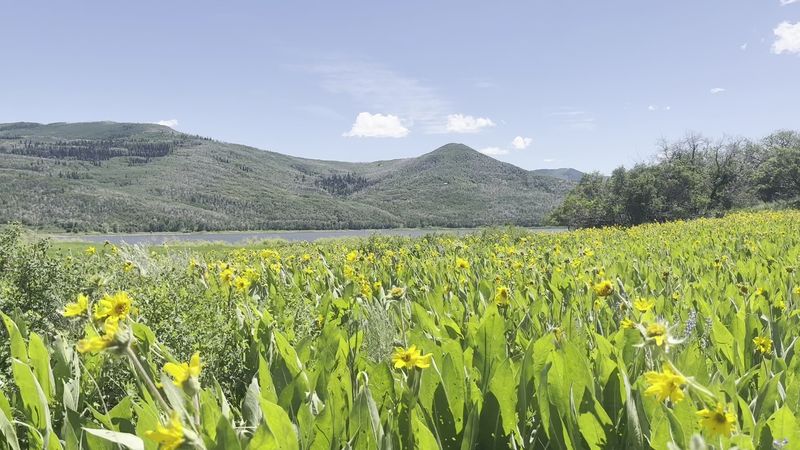 Vega State Park - Collbran